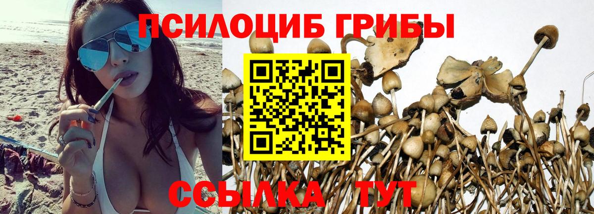 Галлюциногенные грибы мицелий Котельники