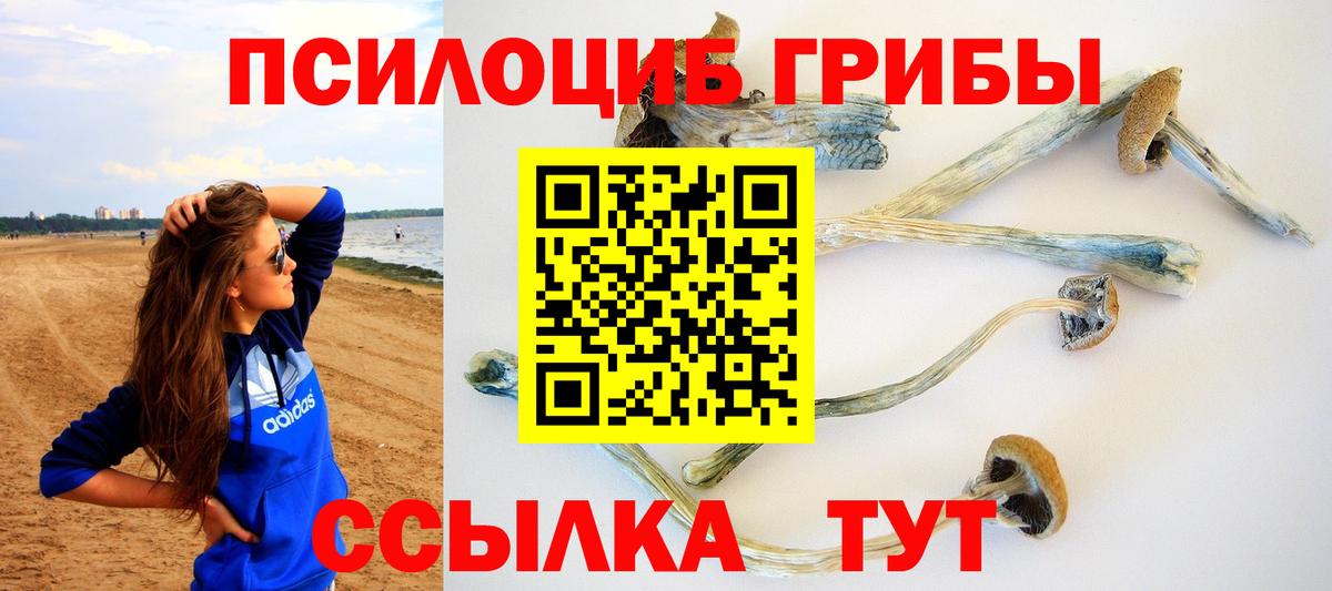 Галлюциногенные грибы прущие грибы  Псилоцибиновые грибы MAGIC MUSHROOMS  Вход с VPN  Котельники 