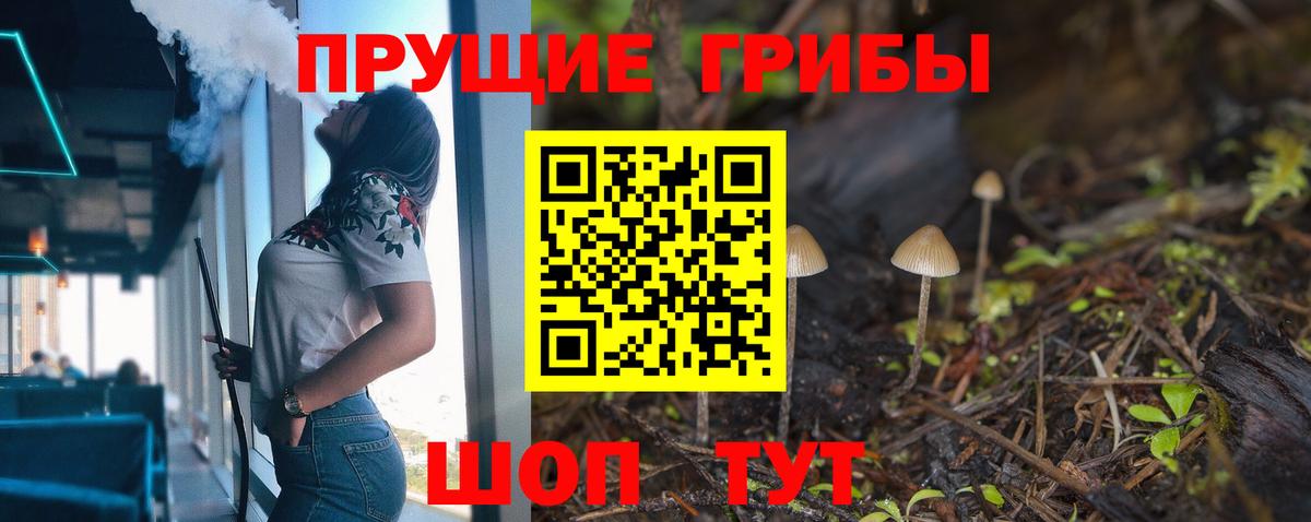 НБОМе Котельники